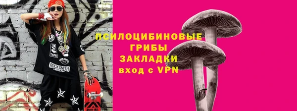 амф Алексин