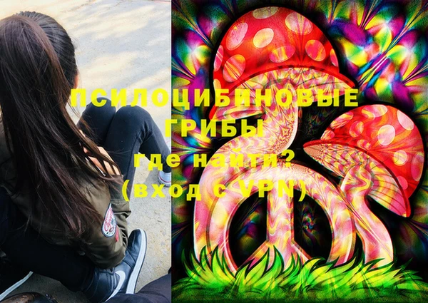 амф Алексин