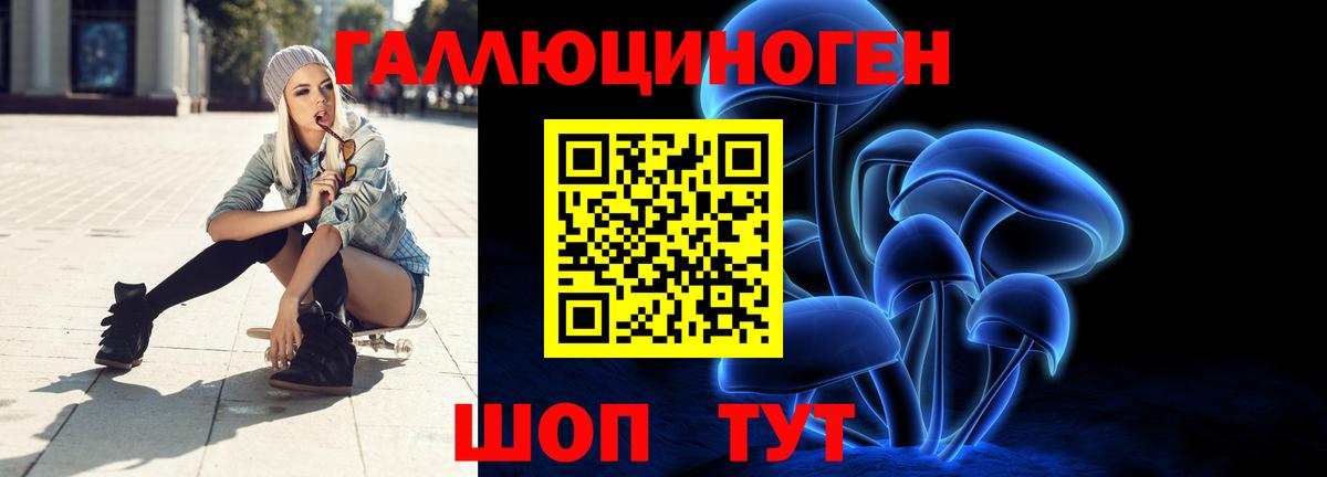 Галлюциногенные грибы Psilocybe Кудрово