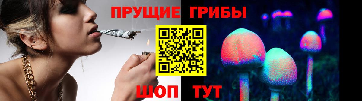 Псилоцибиновые грибы мухоморы  Вход с VPN  Кудрово  Псилоцибиновые грибы Psilocybine cubensis 