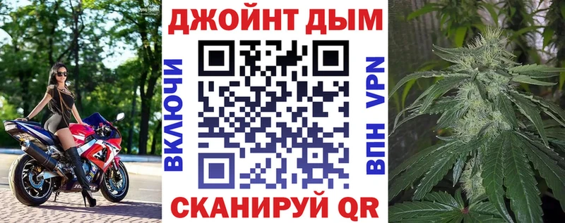 Марихуана сатива  Кудрово 